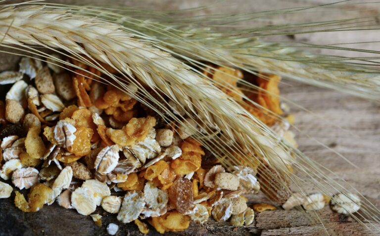 From Farm to Fork: Understanding the Impact of Food Supply Chains.