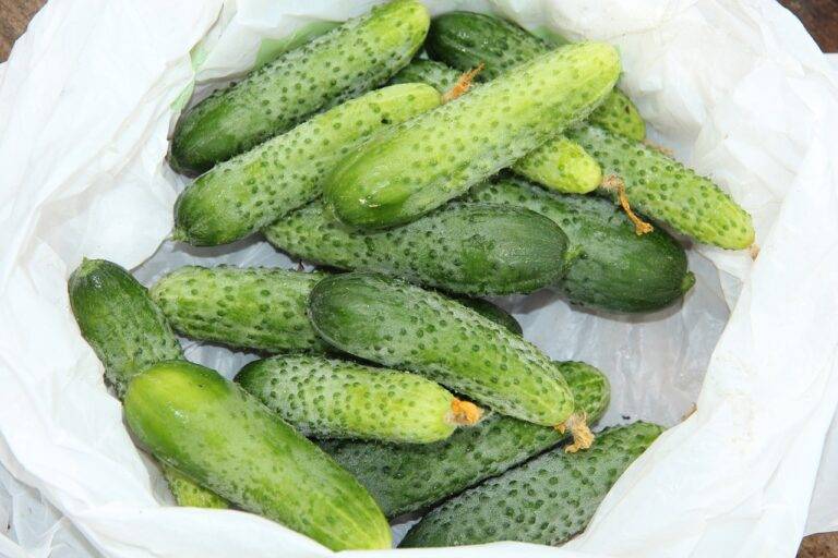Poultry Farming and Crop Rotation: Betbook250.com, 11xplay, Yolo 247