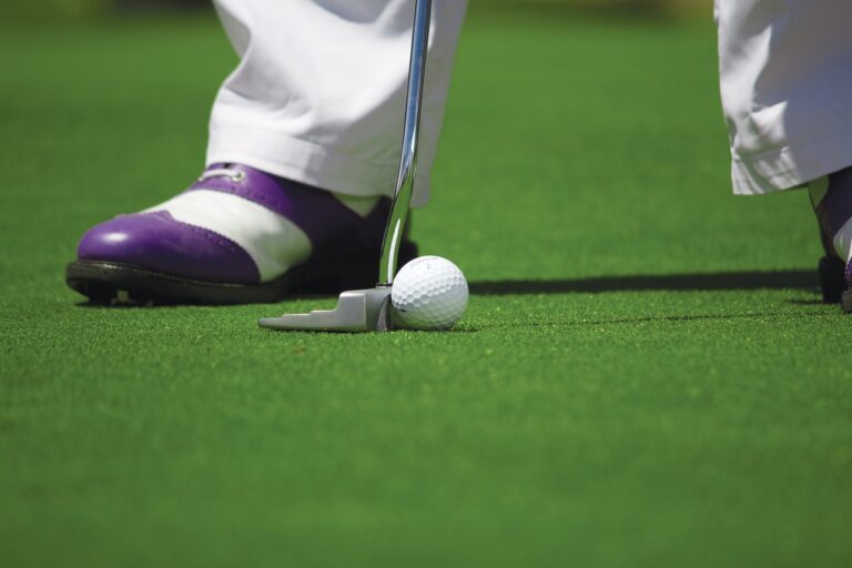 The Rise of Cricket Leagues: Opportunities for Academy Players: Welcome 11xplay, Laser247. Com, World777.com registration