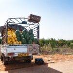 Circular Economy Initiatives in End-of-Life Vehicle Recycling: World7 id, Mahadev betting login, Silver 777 login