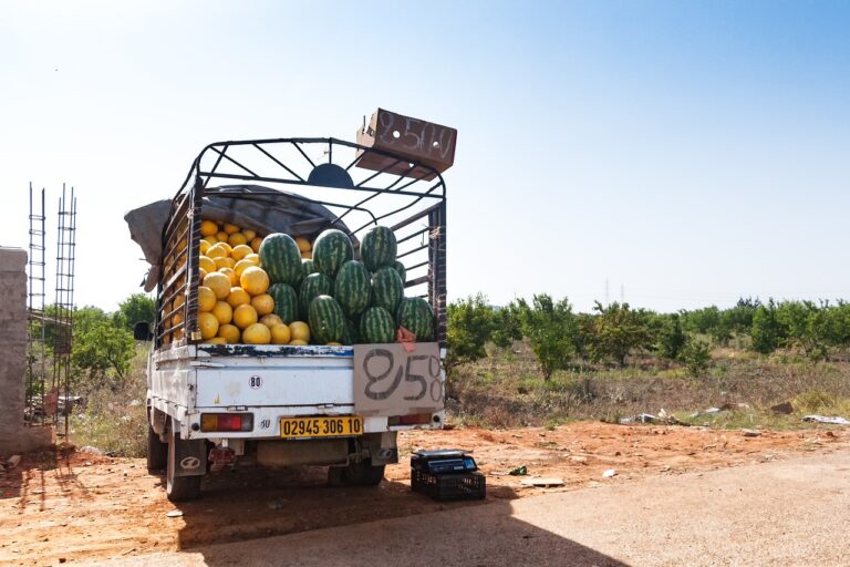 Circular Economy Initiatives in End-of-Life Vehicle Recycling: World7 id, Mahadev betting login, Silver 777 login